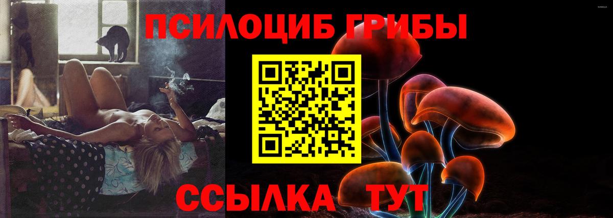 Псилоцибиновые грибы Psilocybe  Псилоцибиновые грибы мухоморы  Ярославль  Вход с VPN 